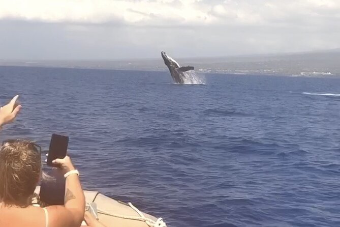 Whale Watching Tour on a Charming Hawaiian Catamaran From Maalaea - Winona from Maalaea: what the ride is really like