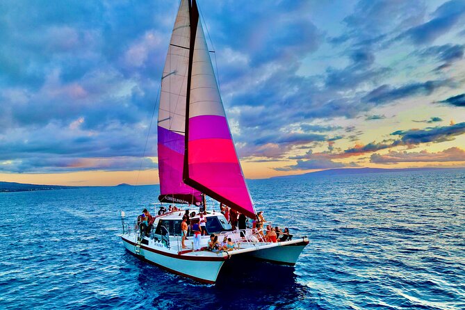 Whale Watching Tour on a Charming Hawaiian Catamaran From Maalaea - Dolphin encounters and respect for space: how close is close?