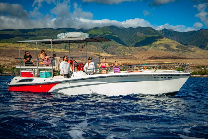 WHALES GUARANTEED Maui Whale Watching Makai Adventures - What the Crew Does Once You’re at Sea