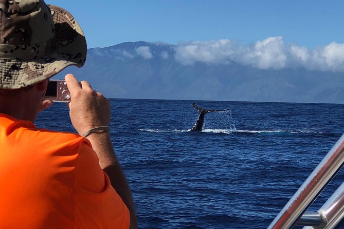 WHALES GUARANTEED Maui Whale Watching Makai Adventures - Small-Group Viewing: Why 35 People Matters